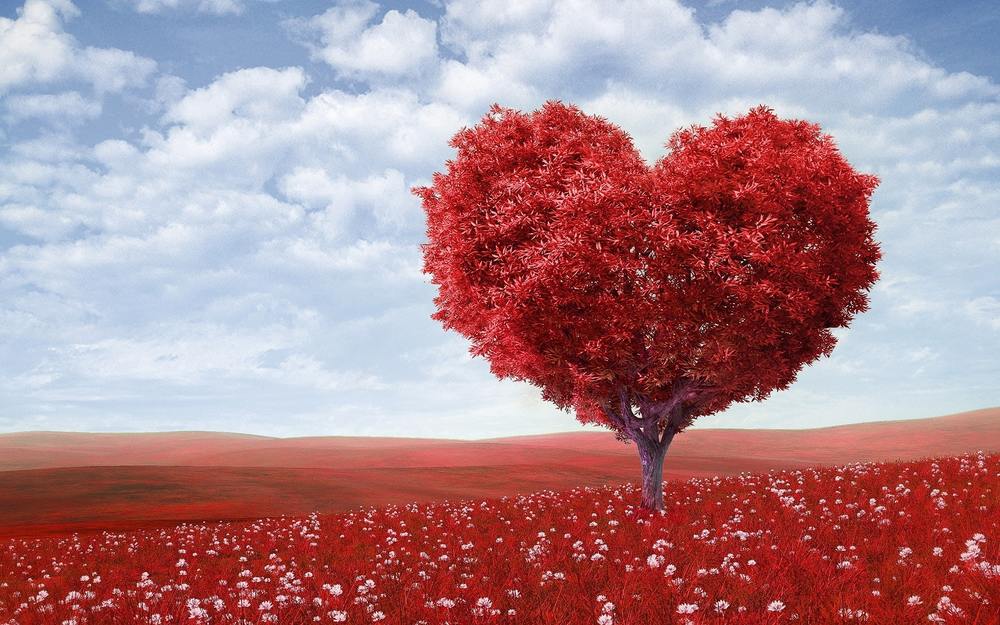 Expressions of Love Shared Around the World